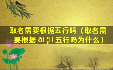 取名需要根据五行吗（取名需要根据 🦅 五行吗为什么）